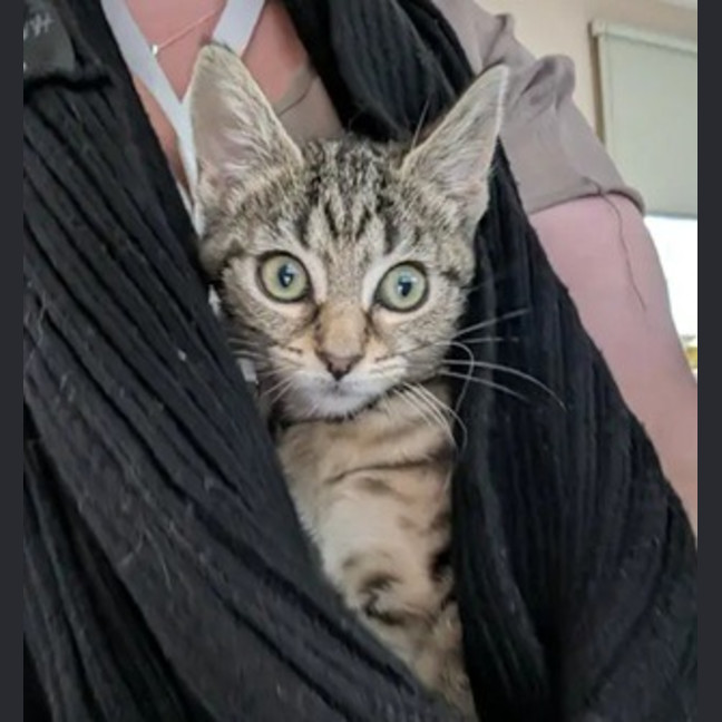 Photo of Tabitha