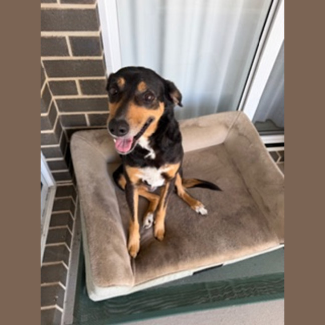 Photo of Molly 