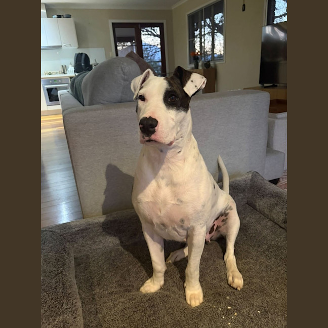 Photo of Letty
