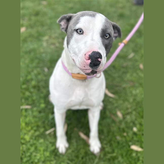 Photo of Jax