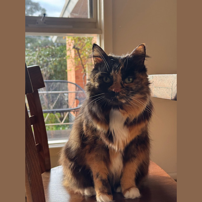 Photo of Sasha