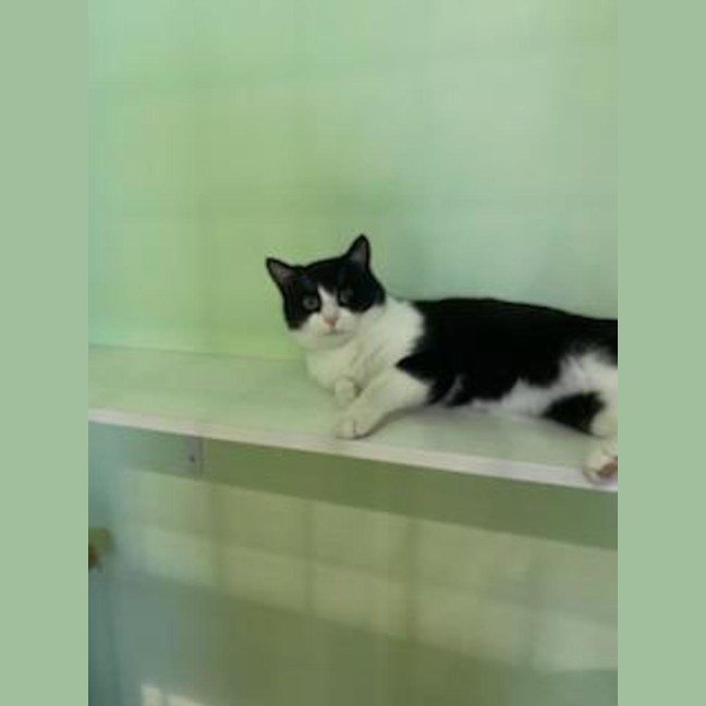 Photo of Hugo
