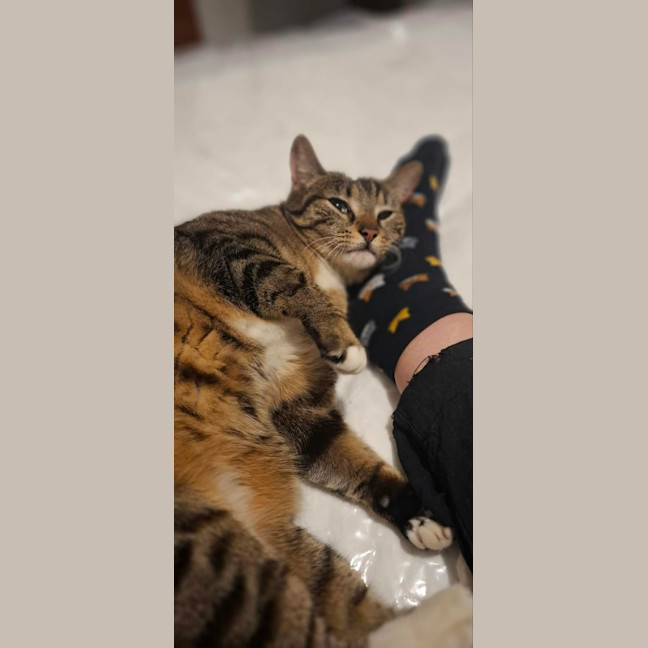 Photo of Tabitha