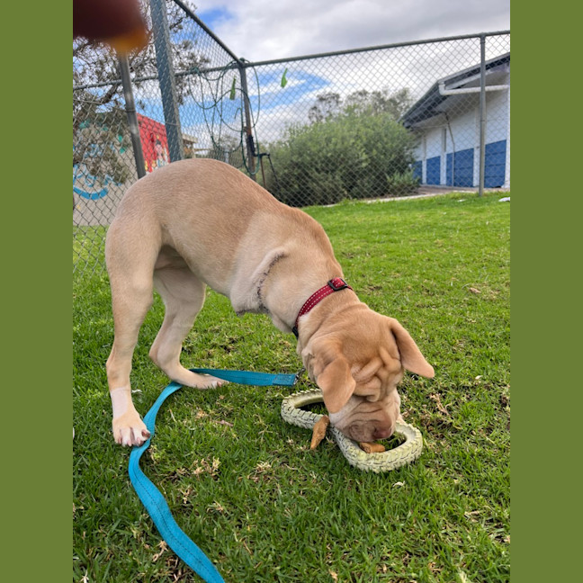 Photo of Beebee 