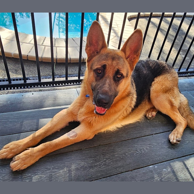 Photo of Jericho