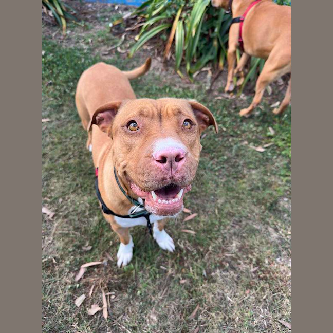Photo of Evie