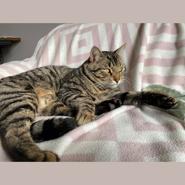 Photo of Ted