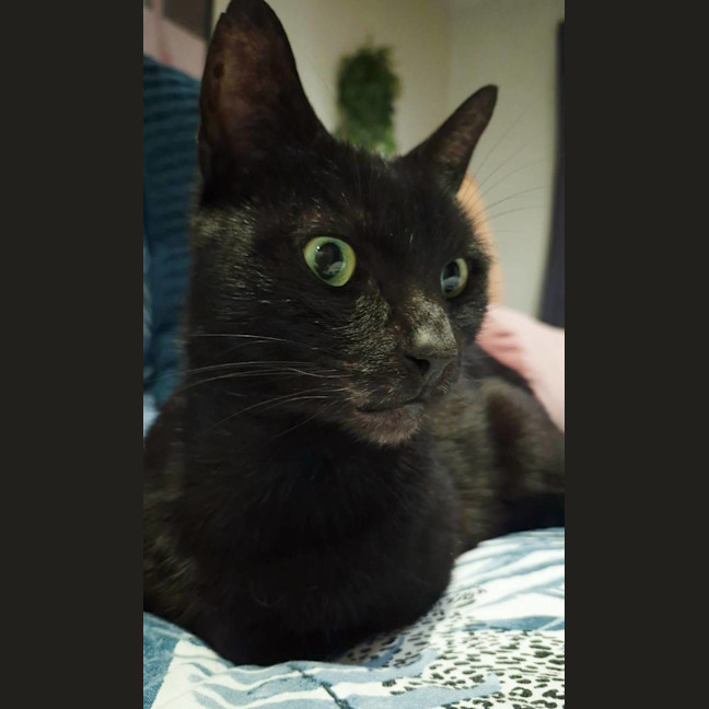 Photo of Miles