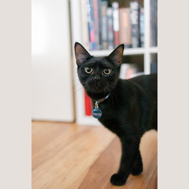 Photo of Percy