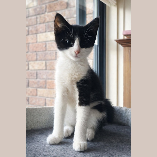 Photo of 🌸 Lily 🌸