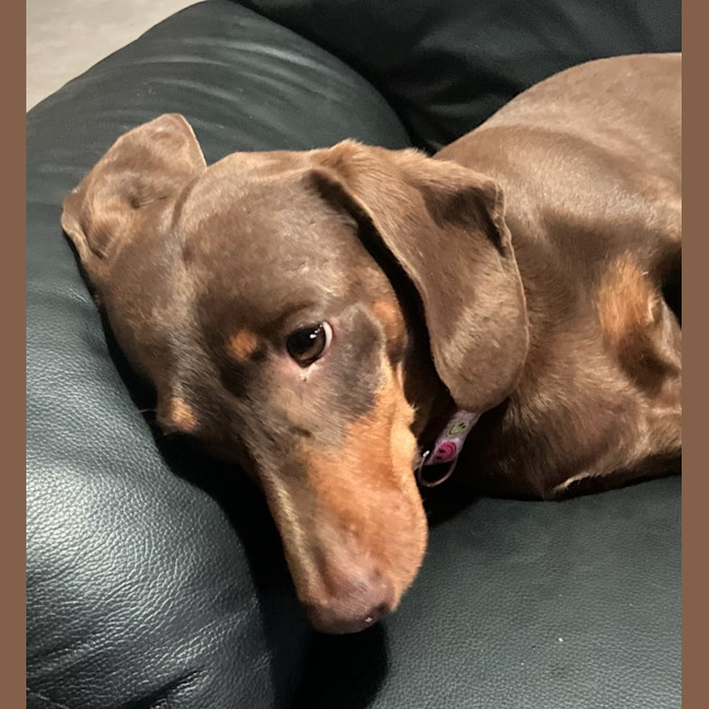 Photo of Liza