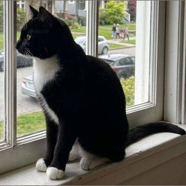 Photo of Olivia