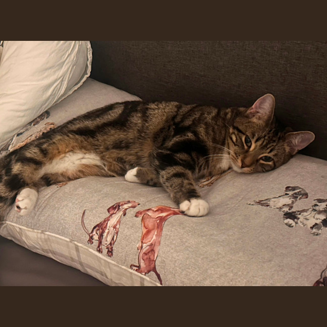 Photo of Mac