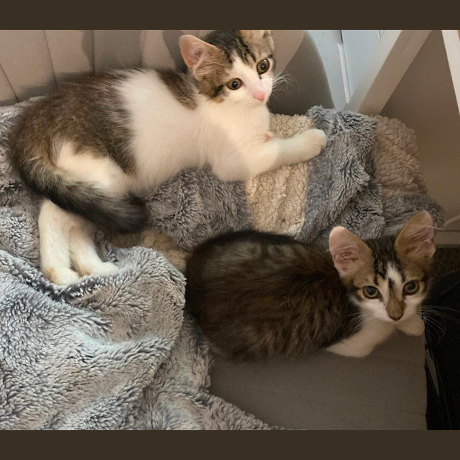 Photo of Ben And Jerry