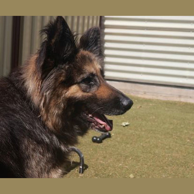Photo of Lucy