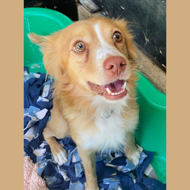 Photo of Rosco