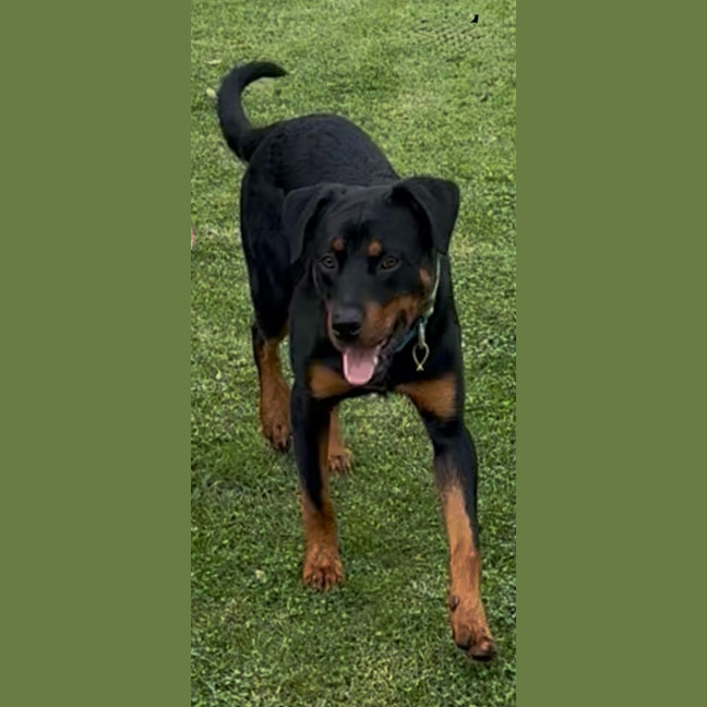 Photo of Chase
