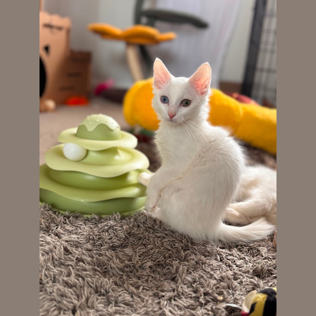 Photo of Spooky
