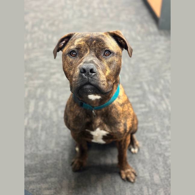 Photo of Ralphy Aka Wreck It Ralph