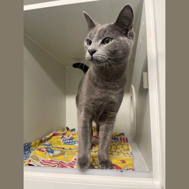 Photo of Storm