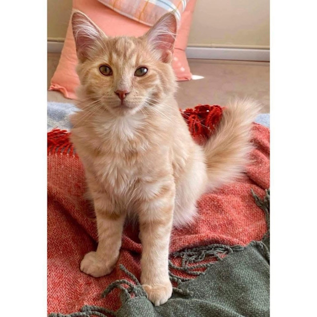 Photo of 12181   Calm