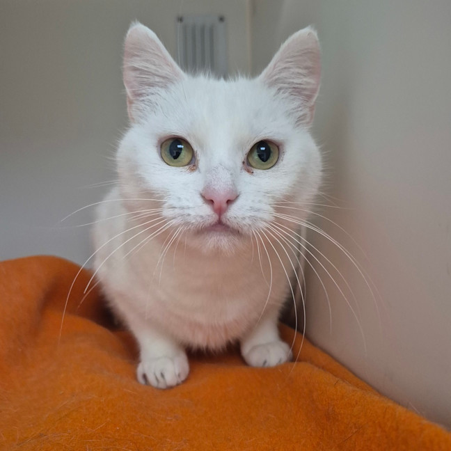 Photo of Lumi 