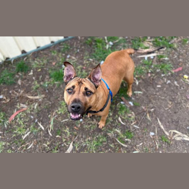 Photo of Mahana