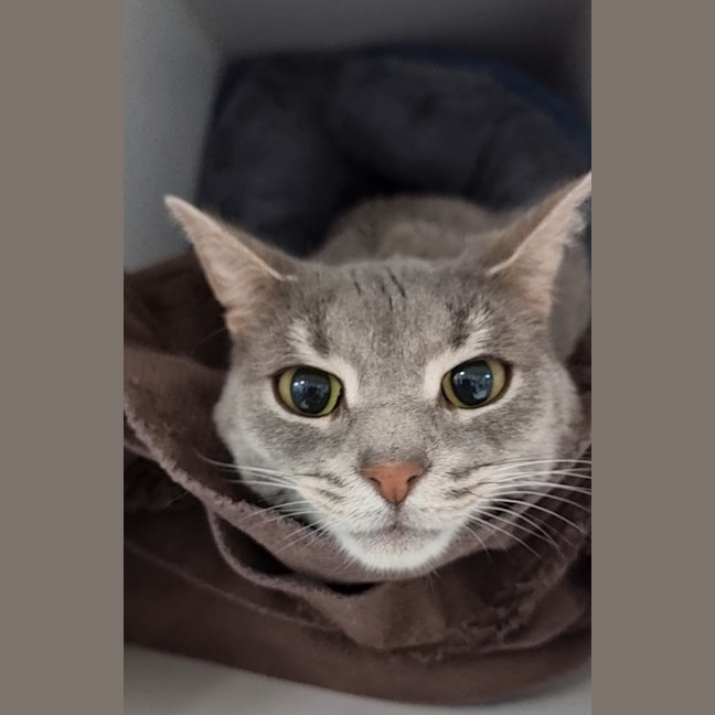 Photo of Tia