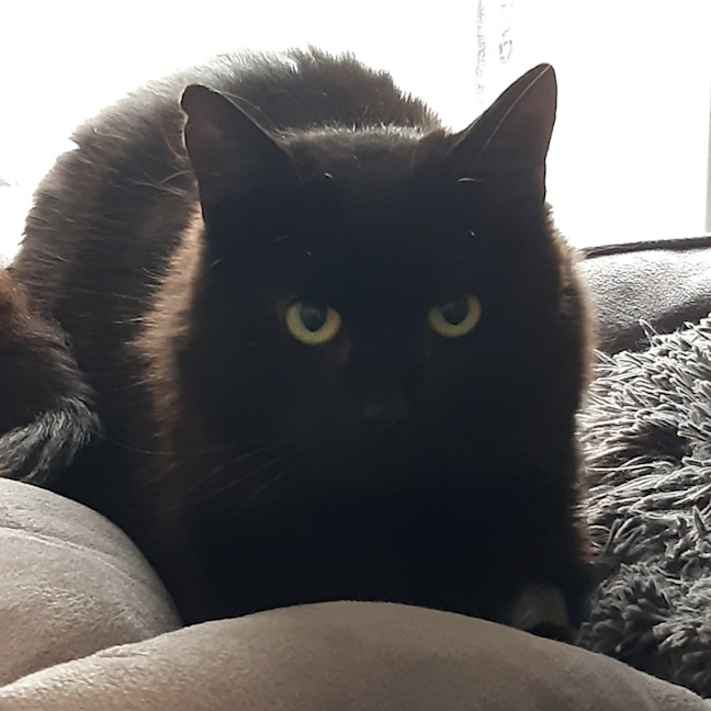 Photo of Nyx