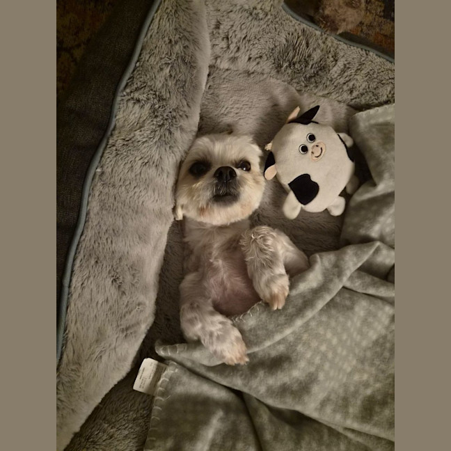 Photo of Nellie