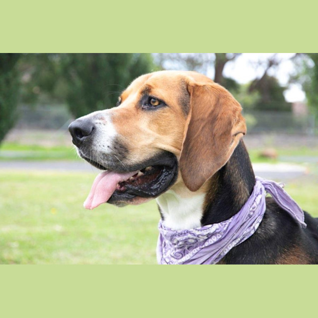 Photo of Lola Wilberforce