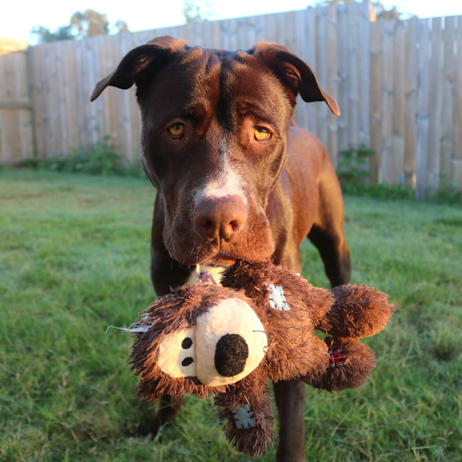 Photo of Molly