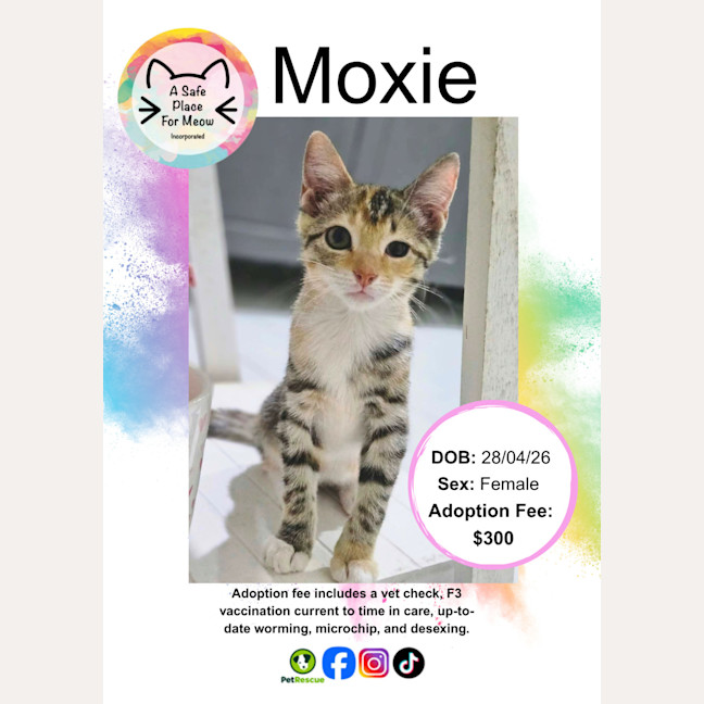 Photo of Moxie