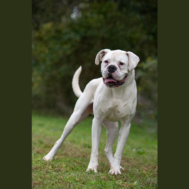 Photo of Beny