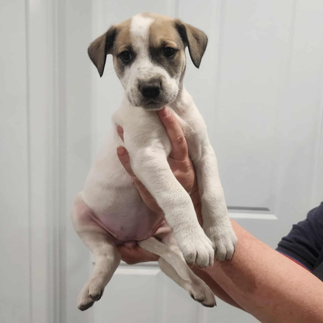 Photo of Lumpy Space Princess