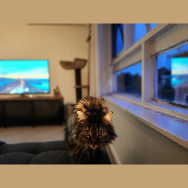 Photo of Molly Lozano