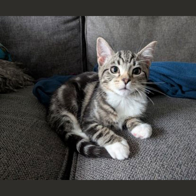Photo of Hazel