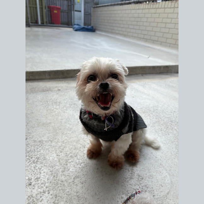 Photo of Little May