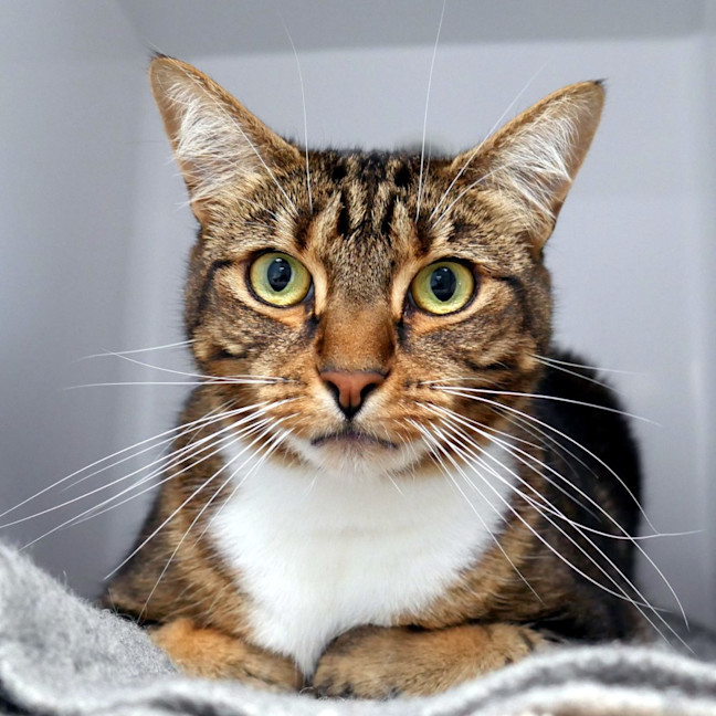 Photo of Dory Rsuk010939