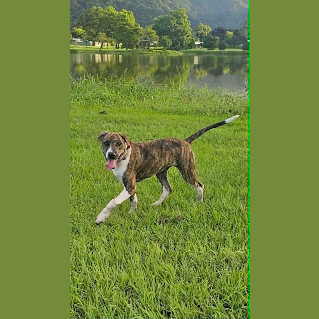 Photo of Catia