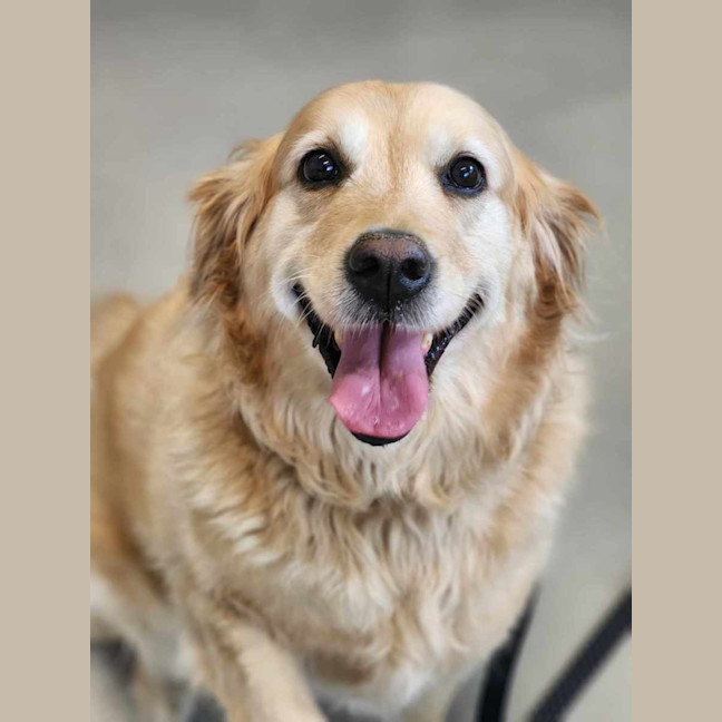 Photo of 🧁 Sally 6057 🧁