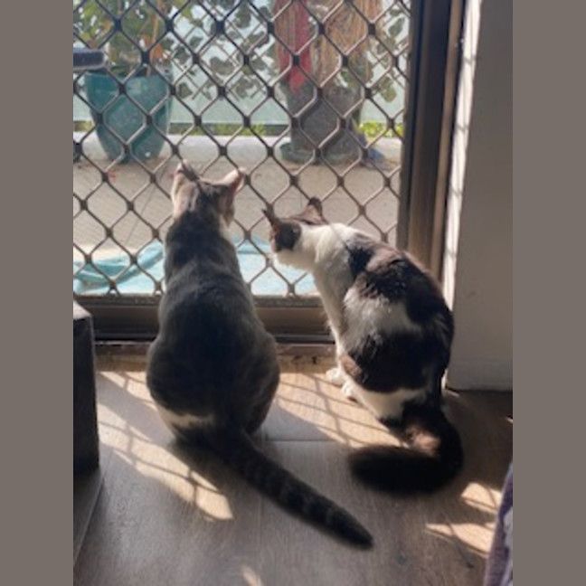 Photo of 💙George & 💜Lily