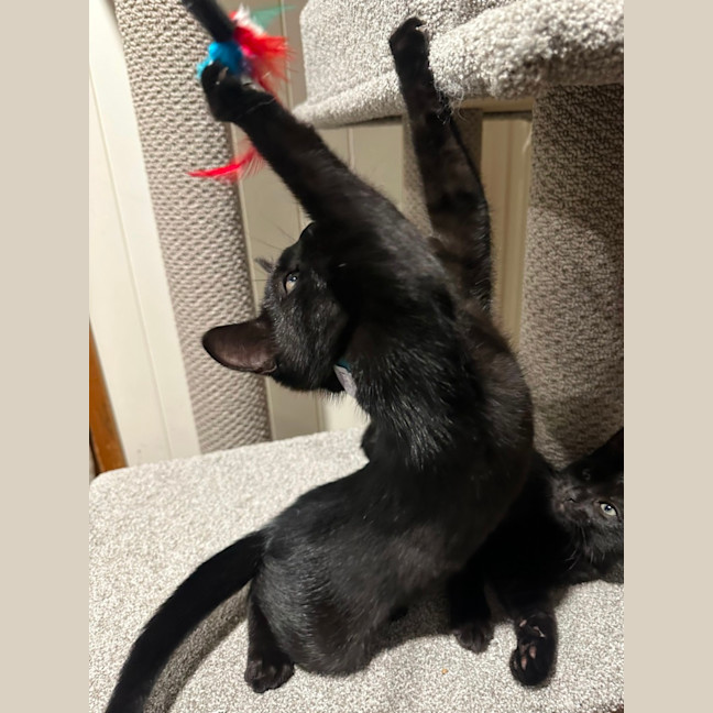 Photo of The Riddler