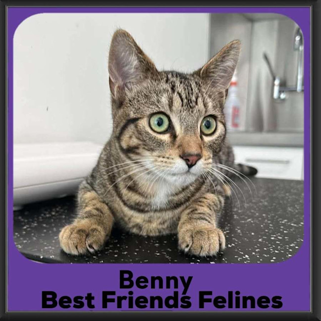 Photo of Benny 