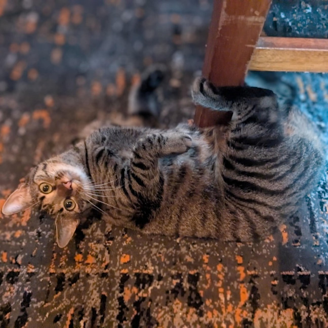 Photo of Eva   Located In Preston