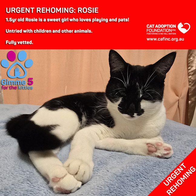 Photo of Rosie