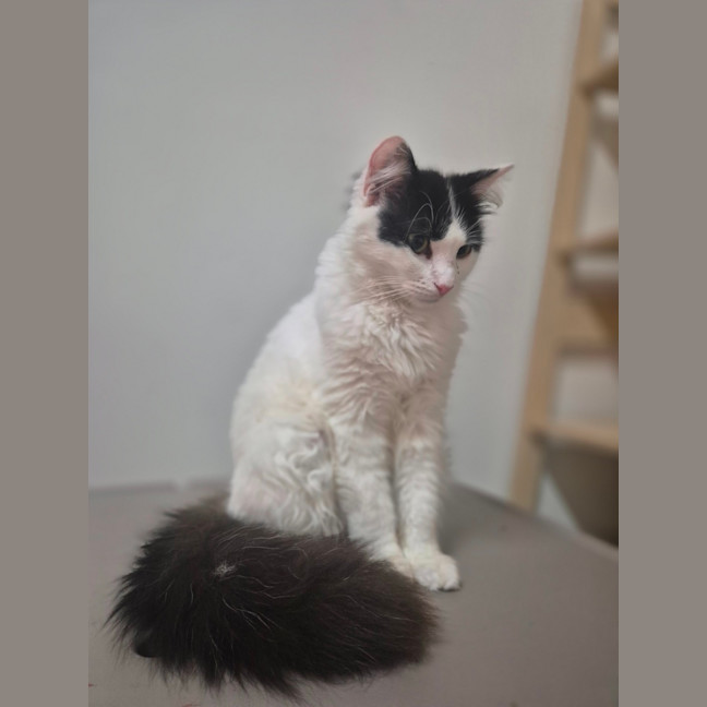 Photo of Daphne 