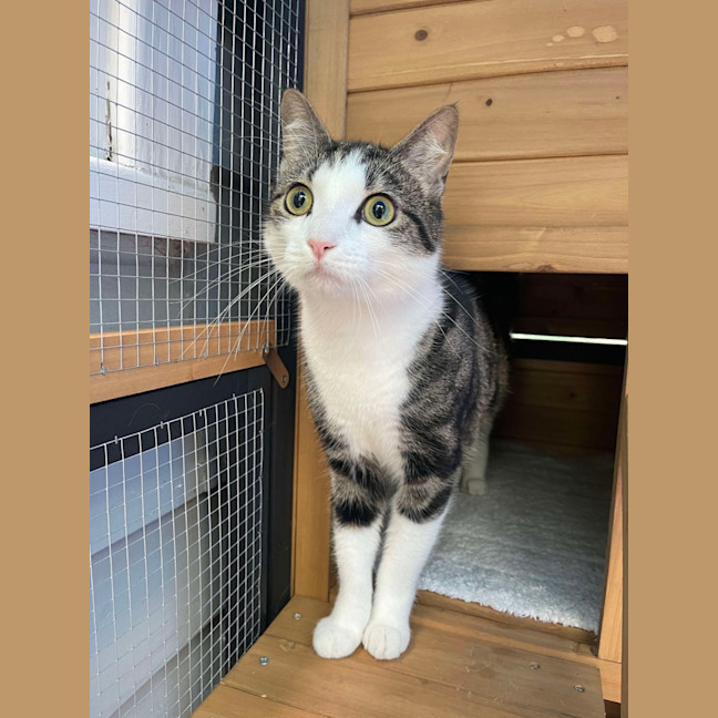 Photo of 🤠 Bandit 🤠