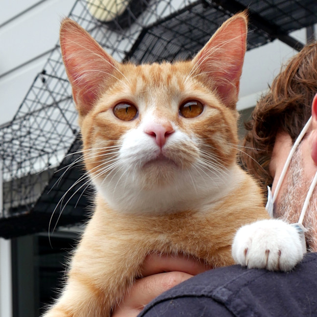 Photo of Phoenix Rstk012799