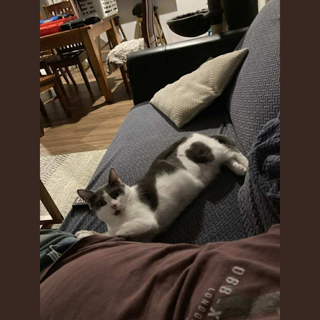 Photo of Delilah